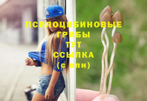 mdpv Белокуриха