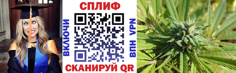 где купить наркоту  Вышний Волочёк  Конопля конопля 